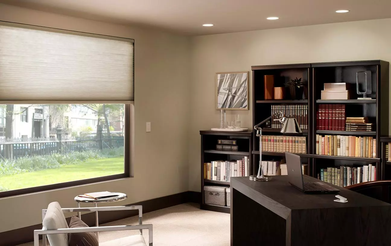 Solar Shades Home Office